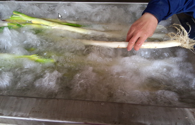 Vegetable cleaning machine