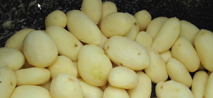 Potato potato peeled vegetable cleaning machine